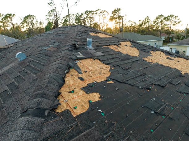 Waterproofing in Springdale, SC